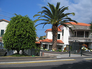 Madeira 2006
